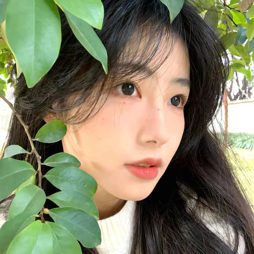 真爱的谎言之破冰者