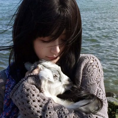 小绿和小蓝第五季